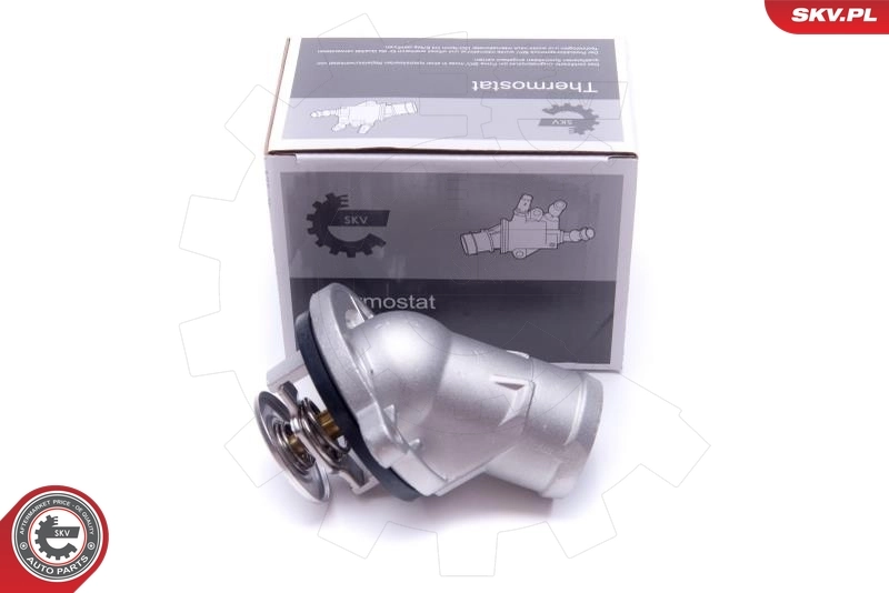 Thermostat, coolant
